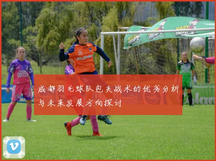 成都羽毛球队包夹战术的优劣分析与未来发展方向探讨