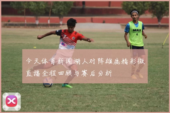 今天体育新闻湖人对阵雄鹿精彩微直播全程回顾与赛后分析